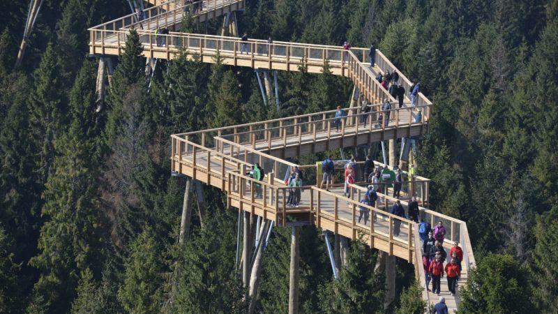 Pinewood Valley Oasis Vyšné Ružbachy Exteriör bild